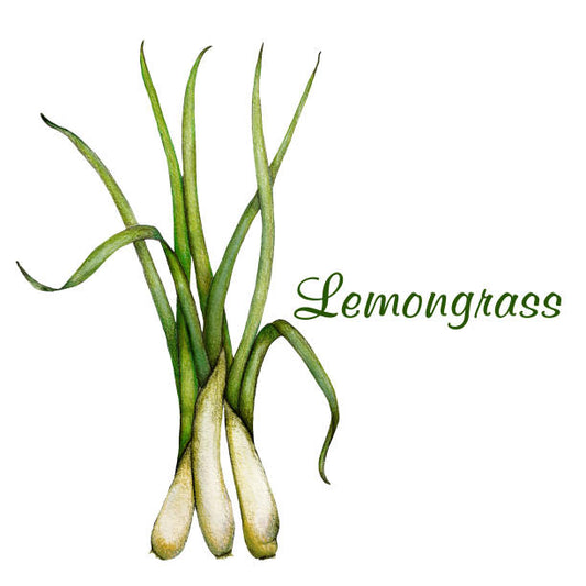 Lemongrass Soothing Salve 4 Ounce Jar